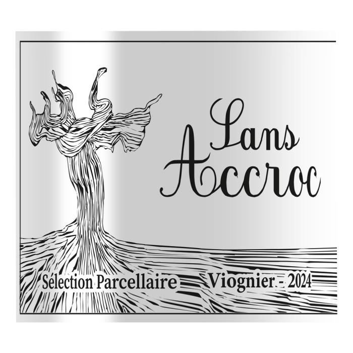 Sans Accroc 2024 - Sélection parcellaire de la vallée du Rhone Viognier - Vin de France - Vin blanc