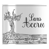 Sans Accroc 2024 - Sélection parcellaire de la vallée du Rhone Viognier - Vin de France - Vin blanc