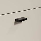 Meuble TV SAO PAULO - Cachemire / Chene blond - 2 portes, 2 niches, 2 tiroirs - 110 x 68 x 45 cm - TRENDTEAM