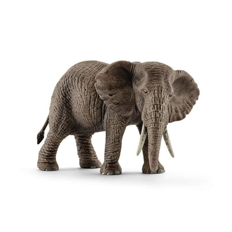 Figurine Eléphant d'Afrique femelle, Schleich 14761 Wild Life, des 5 ans