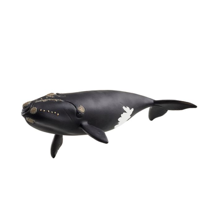 Figurine Baleine de l'Atlantique, Schleich 14878 Wild Life, des 5 ans