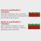 Scarificateur électrique SC32 - 32 cm - 1500 W - SCHEPPACH