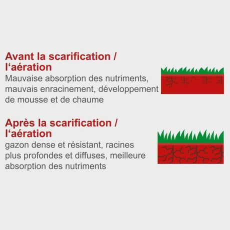 Scarificateur électrique SC32 - 32 cm - 1500 W - SCHEPPACH