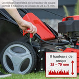 Tondeuse thermique autotractée - démarrage électrique - MS150-46E - 46 cm - 150 CC - SCHEPPACH