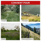 Motofaucheuse BMS196-88 - largeur de coupe de 88cm - 196 CC - SCHEPPACH