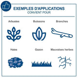 Débroussailleuse +taille-haies +coupe-bordures+élagueuse sans fil BC-MFH400-X -  - SCHEPPACH 20V IXES - sans batterie ni chargeur