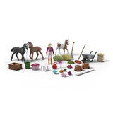 Calendrier de l'Avent Horse Club, Schleich 99178 Gamme Horse Club, Figurine de jeux, Des 5 ans