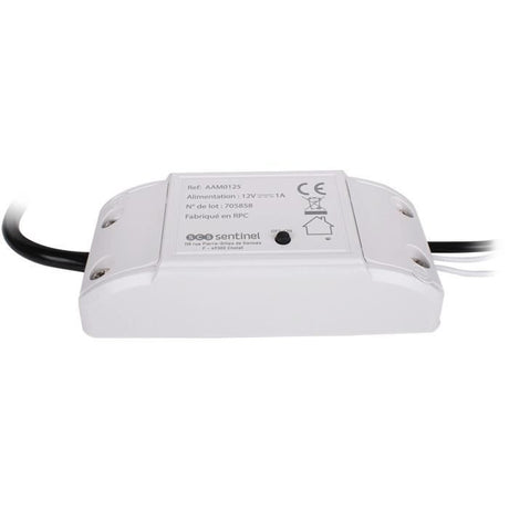 Module récepteur - SCS SENTINEL - WifiGate - Connecté
