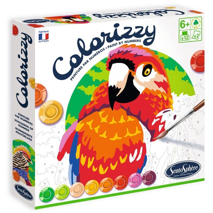 Peinture Acrylique - SENTOSPHERE - Colorizzy - Oiseaux - Peinture a numéro pour jeunes artistes - Des 8 ans