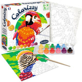 Peinture Acrylique - SENTOSPHERE - Colorizzy - Oiseaux - Peinture a numéro pour jeunes artistes - Des 8 ans