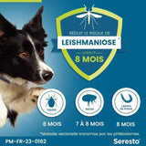 SERESTO  Chien Collier Anti-Puces et Anti-Tiques +8kg 2 unités