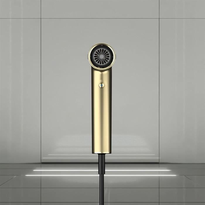 Seche-cheveux - SHARK - SpeedStyle Pro 3-en-1 - 1750 W - 3 accessoires - Édition limitée Gold