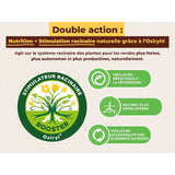 SOLABIOL Engrais palmiers et plantes méditerranéennes - 1,5kg - Jusqu'a 7 palmiers - Pour un feuillage fort & dense