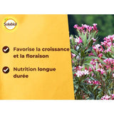 SOLABIOL Engrais lauriers & bougainvilliers - 1,5kg - Jusqu'a 30 pieds - Favorise la floraison et la croissance