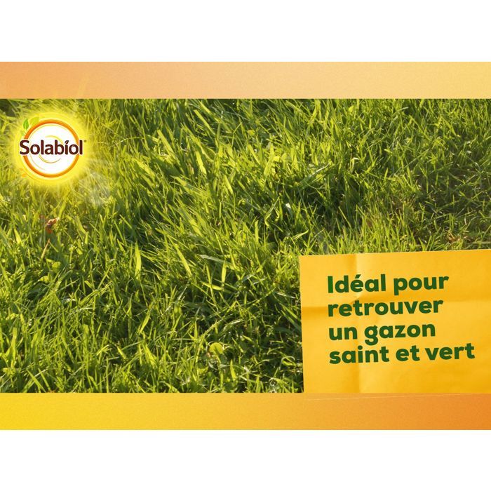 SOLABIOL Carbonate de chaux & de magnésium - 10kg - Granulés - Corrige l'acidité du sol - Action progressive & durable