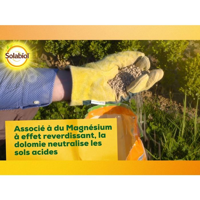 SOLABIOL Carbonate de chaux & de magnésium - 10kg - Granulés - Corrige l'acidité du sol - Action progressive & durable