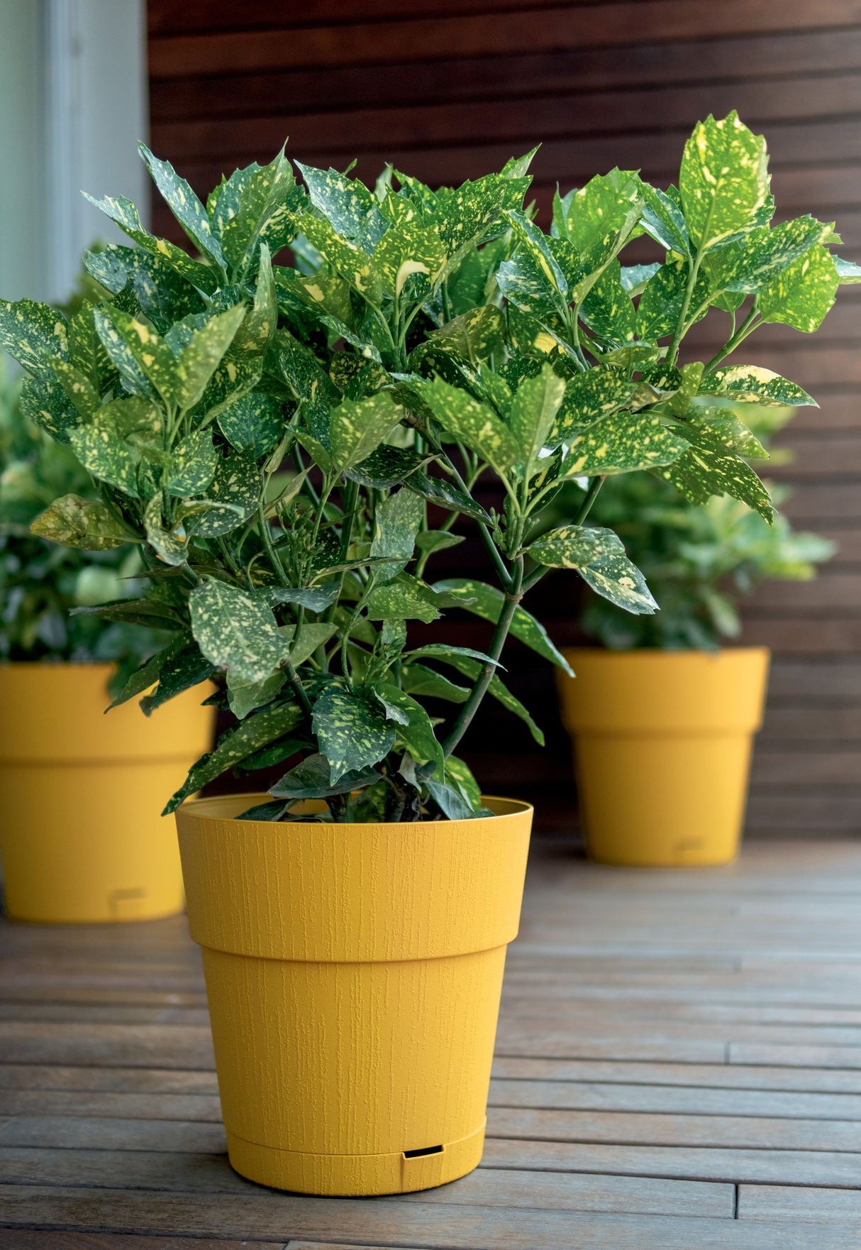 STEFANPLAST Pot de fleur ETHICA - 2 L - 40 x h39 cm - Avec réserve d'eau - Moutarde