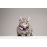 Répulsif ultrason chat - TICKLESS MINI CAT - Protection tiques et puces - Organ Purple