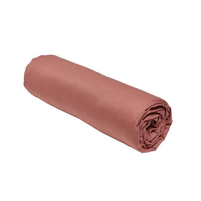 Drap housse TODAY Essential - 160 x 200+30 cm - 2 personnes - 100% Coton uni - Terracotta