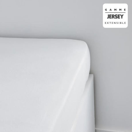 Drap housse TODAY Essential - 160 x 200+25 cm - 1 personne - 100% Coton jersey - Craie