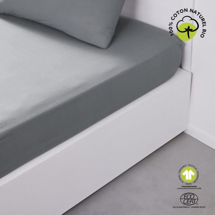 Drap housse - TODAY - 160 x 200 cm + 30 cm - Coton - Organic Acier