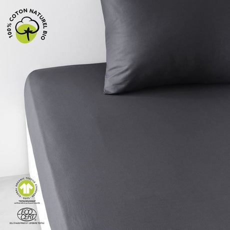 Drap housse - TODAY - 180 x 200 cm + 30 cm - Coton - Organic Fusain