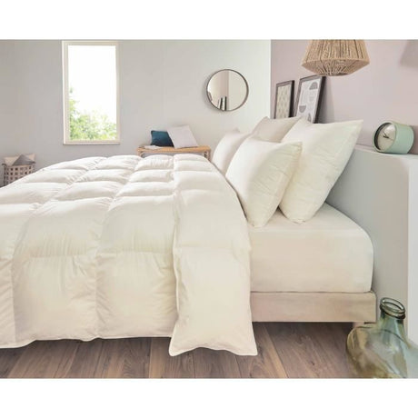 TOISON D'OR - Oreiller Confort Ferme - Pollux - Blanc - 65 x 65 cm