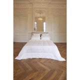 TOISON D'OR - Oreiller - Epure - Confort médium - 50x75cm - Blanc