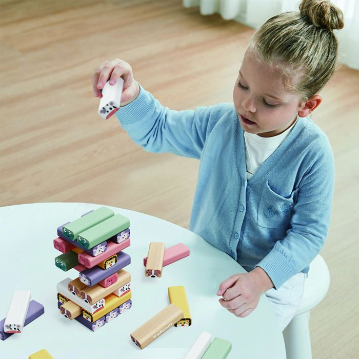 Tour a Bascule - TOP BRIGHT - Animaux - Couleurs - Jeu d'Adresse - Construction CrÈative