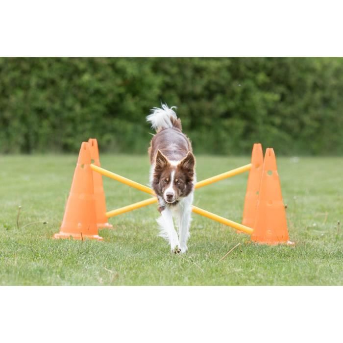 TRIXIE Lot de 3 ActivitÈs d'obstacle - ÿ 23 ◊ 30 cm - 78 cm - Orange et jaune - Pour chien