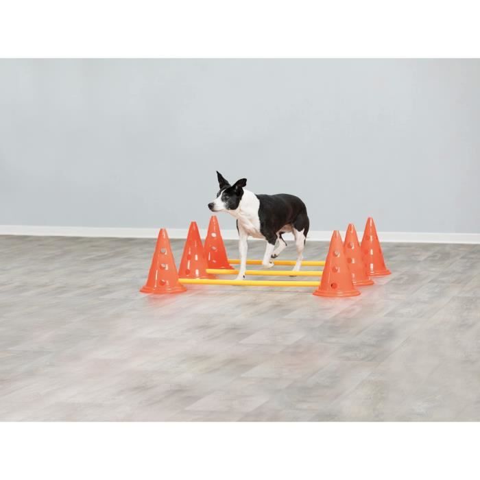 TRIXIE Lot de 3 ActivitÈs d'obstacle - ÿ 23 ◊ 30 cm - 78 cm - Orange et jaune - Pour chien