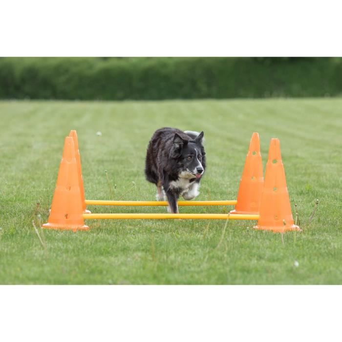 TRIXIE Lot de 3 Activités d'obstacle - Ř 23 × 30 cm - 78 cm - Orange et jaune - Pour chien