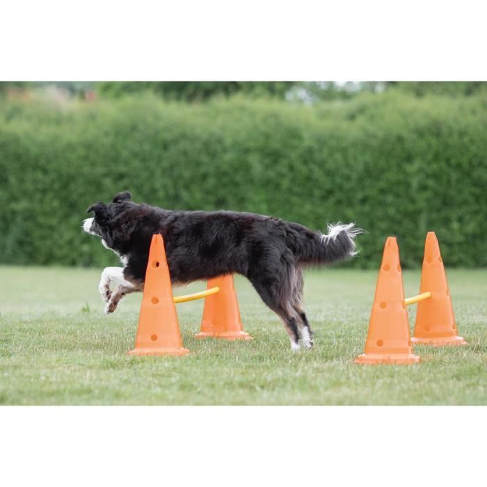 TRIXIE Lot de 3 Activités d'obstacle - Ř 23 × 30 cm - 78 cm - Orange et jaune - Pour chien
