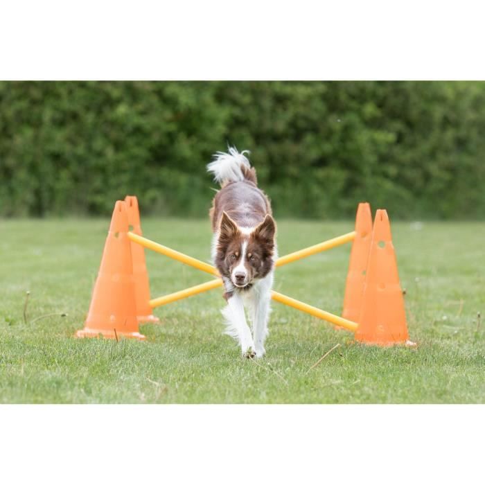 TRIXIE Lot de 3 Activités d'obstacle - Ř 23 × 30 cm - 78 cm - Orange et jaune - Pour chien