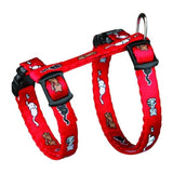 Harnais pour chatons - Nylon - 21-34 cm - Réglable - Diverses couleurs - Clips de fermeture