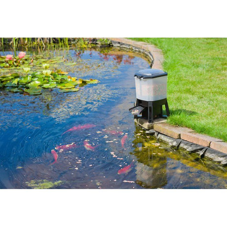 Distributeur automatique de nourriture pour poissons - UBBINK - Solaire - Réservoir 6 L - 1 a 6 nourrissages/jour - Portée 1 a 3 m