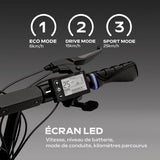 Trottinette électrique - URBANGLIDE - ECROSS ONE - 800 W - Pneus 10 - Max 25 km/h - Autonomie jusqu'a 50 km