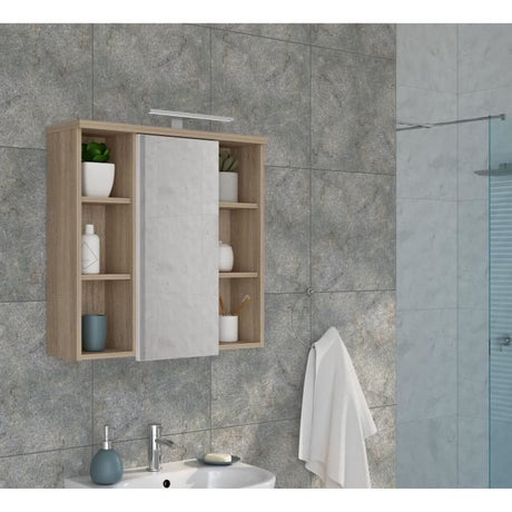 Miroir de salle de bain  - Porte - niches et éclairage - L68,6 x P20 x H68cm
