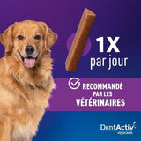 DentActiv - 7 Bâtonnets -  VETOCANIS - 7 Bâtonnets Hygiene Bucco-Dentaire au Boeuf pour Chien 15kg+