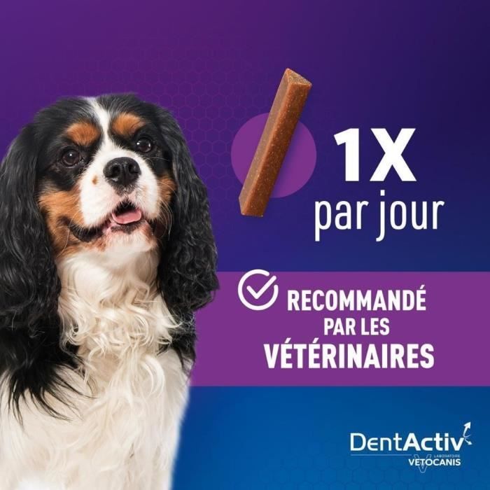 DentActiv - 12 Bâtonnets - VETOCANIS - Mini Bâtonnets Hygiene Bucco-Dentaire au Poulet pour Chien 2-15kg