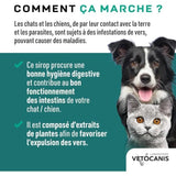 Sirop aide a l'hygiene digestive - VETOCANIS - VERSTOP - Pour Chien et Chat - 125 ml