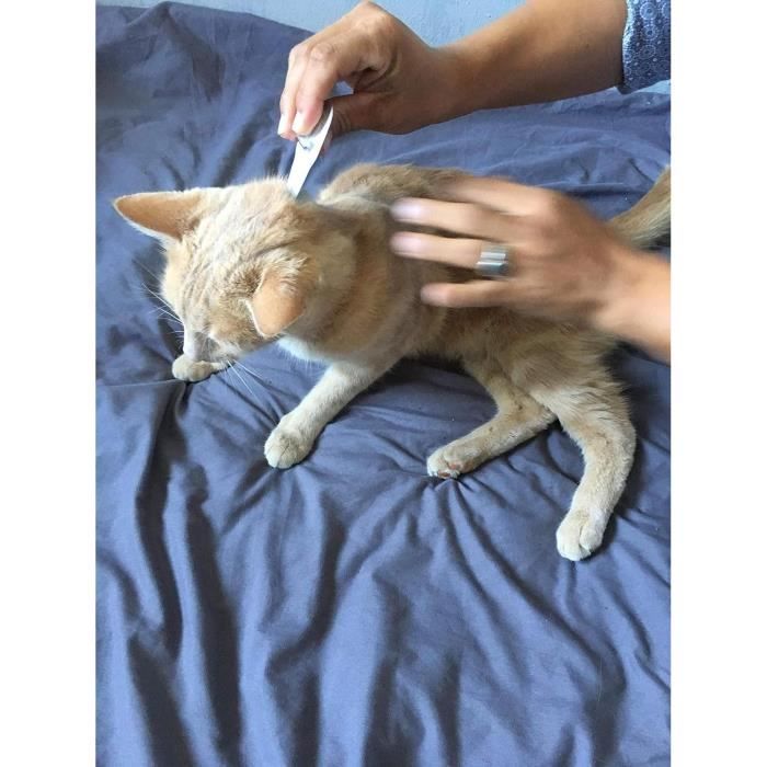 Action Duo pipette - VETOCANIS - Anti-Puces Anti-Tiques Chat