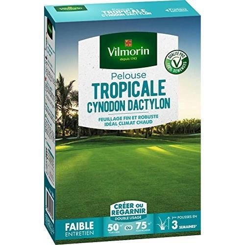 VILMORIN Semences de gazon bord de mer Les Tropicales Cynodon Dactylon - 500 g