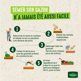 Gazon - Vilmorin - Gazon Ombre - 1 kg
