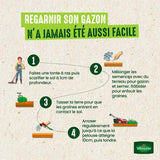 Gazon - Vilmorin - Gazon Ombre - 1 kg