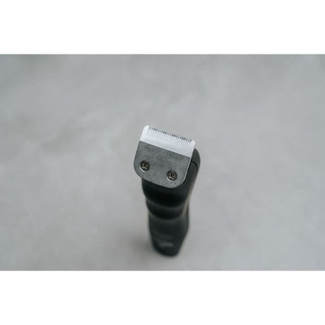 Tondeuse a barbe - WAHL - GROOMSMAN PRO - 2,4 V - 6 sabots - Autonomie : 60 min - Noir / Argent