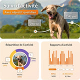 Traceur GPS pour chien sans collier - WEENECT - Chien XT - Antenne XL - Etanche - Fonctionne avec abonnement