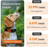 Traceur GPS pour chien sans collier - WEENECT - Chien XT - Antenne XL - Etanche - Fonctionne avec abonnement