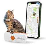 Traceur GPS pour Chat - Weenect XS (White Edition 2023)