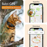 Traceur GPS pour Chat - Weenect XS (Black Edition 2023)